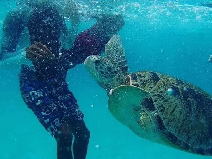 Pakej Day Trip Pulau Redang